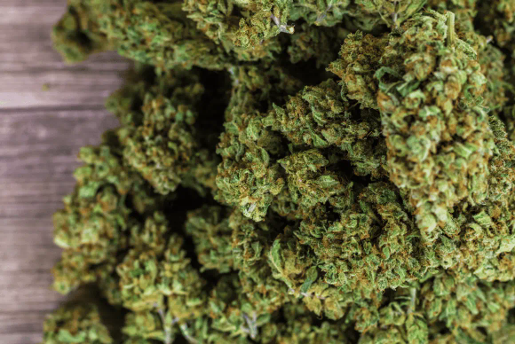 What is Conspiracy to Supply Cannabis?