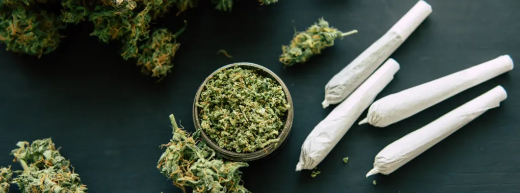 Conspiracy to Supply Cannabis Solicitors