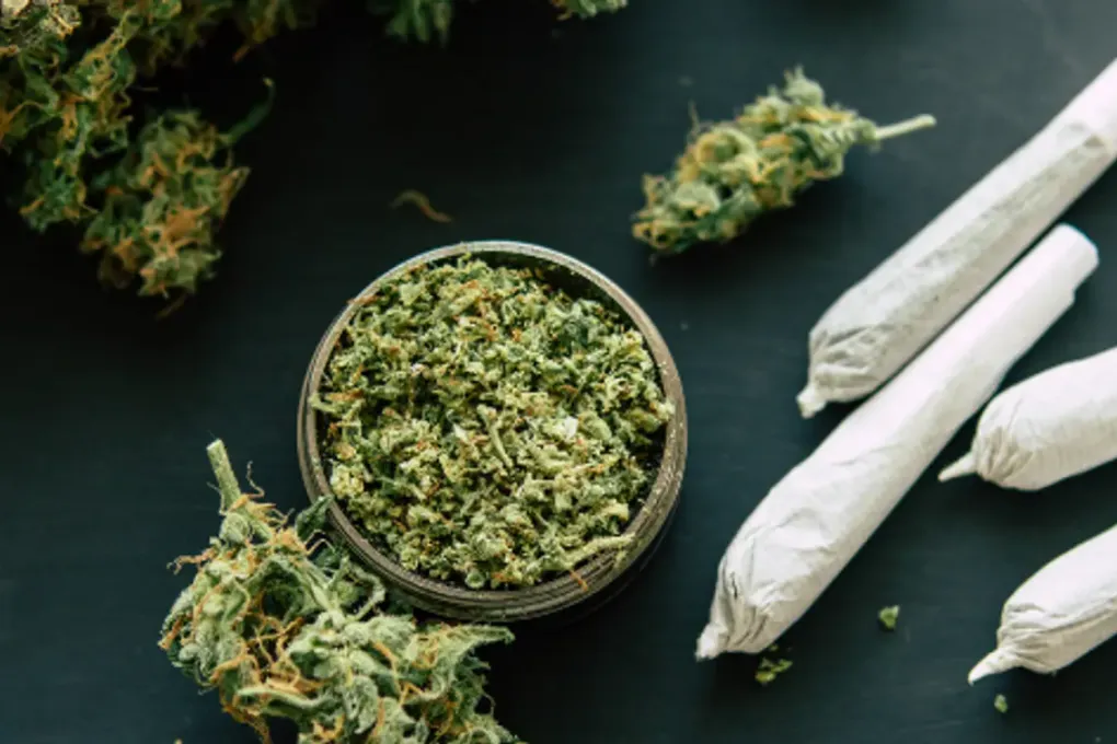 Conspiracy to Supply Cannabis Solicitors