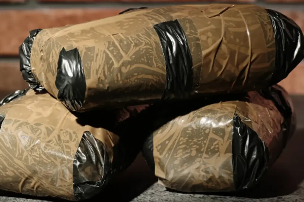 Importation of Controlled Drugs 