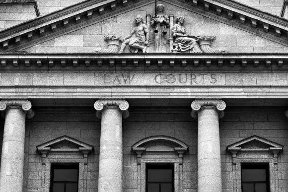 The Investigation and Court Process