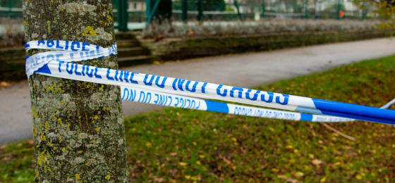 what happens during a search